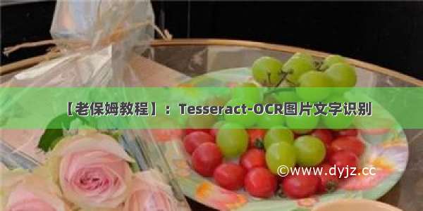 【老保姆教程】：Tesseract-OCR图片文字识别