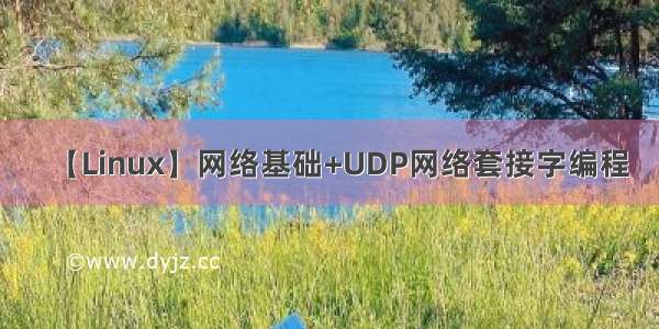 【Linux】网络基础+UDP网络套接字编程