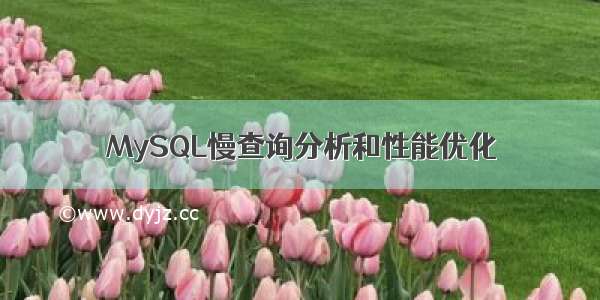 MySQL慢查询分析和性能优化