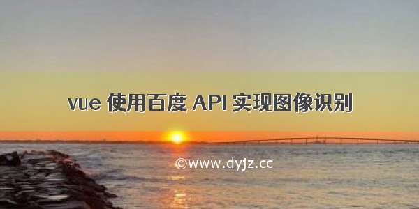 vue 使用百度 API 实现图像识别