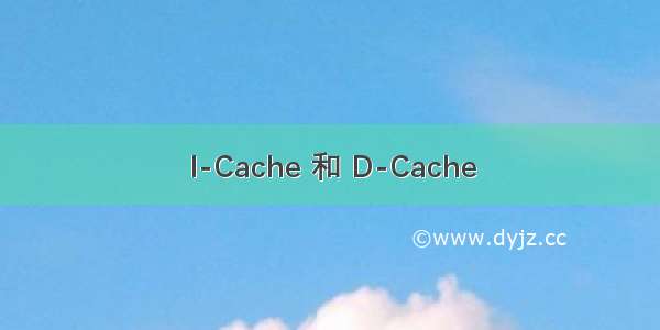 I-Cache 和 D-Cache