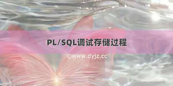 PL/SQL调试存储过程