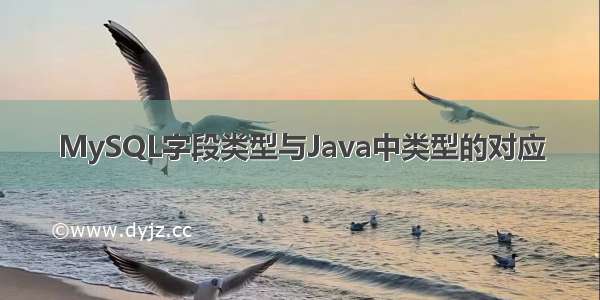 MySQL字段类型与Java中类型的对应