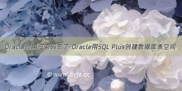 Oracle的用户密码忘了 Oracle用SQL Plus创建数据库表空间