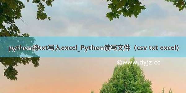 python将txt写入excel_Python读写文件（csv txt excel）