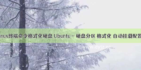 linux终端命令格式化硬盘 Ubuntu - 硬盘分区 格式化 自动挂载配置