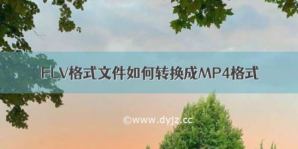 FLV格式文件如何转换成MP4格式