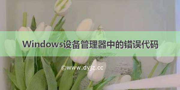 Windows设备管理器中的错误代码