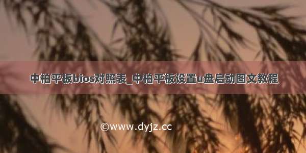 中柏平板bios对照表_中柏平板设置u盘启动图文教程