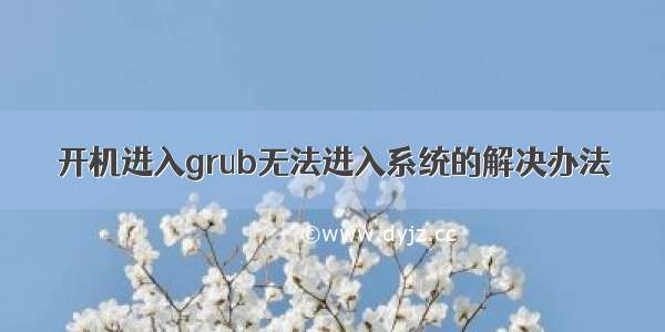 开机进入grub无法进入系统的解决办法