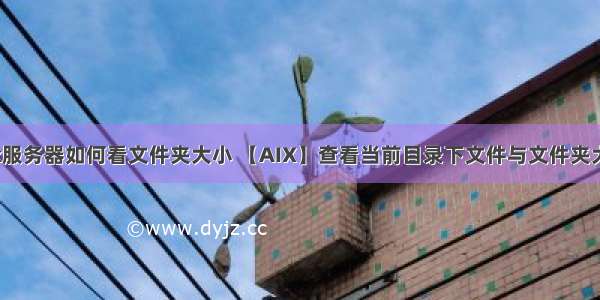 aix服务器如何看文件夹大小 【AIX】查看当前目录下文件与文件夹大小