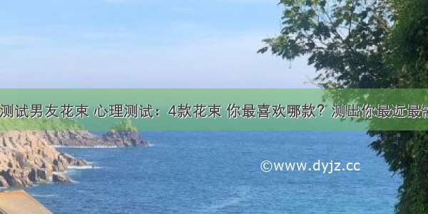 软件开发测试男友花束 心理测试：4款花束 你最喜欢哪款？测出你最近最需要什么...