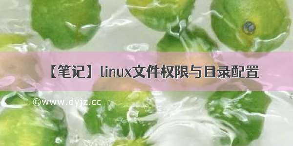 【笔记】linux文件权限与目录配置