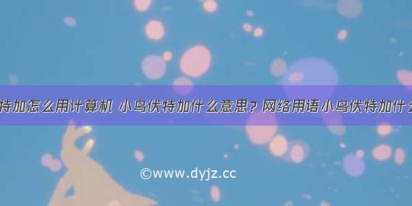 小鸟伏特加怎么用计算机 小鸟伏特加什么意思？网络用语小鸟伏特加什么梗？...