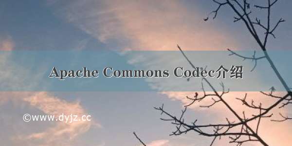 Apache Commons Codec介绍