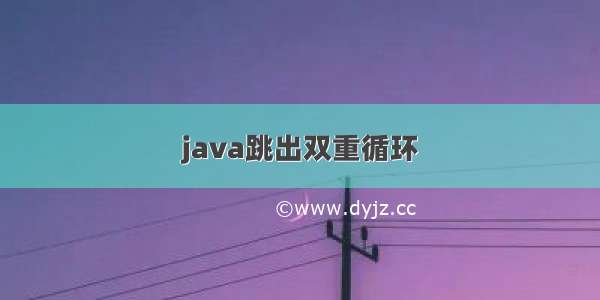 java跳出双重循环