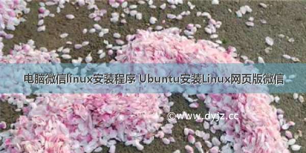 电脑微信linux安装程序 Ubuntu安装Linux网页版微信