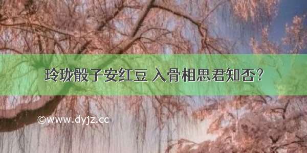 玲珑骰子安红豆 入骨相思君知否？