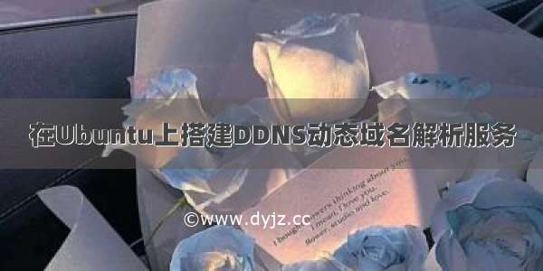 在Ubuntu上搭建DDNS动态域名解析服务