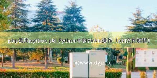 php调用python pkl_Python中的Pickle操作（pkl文件解释）