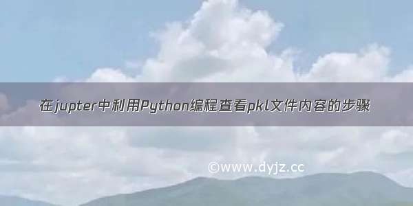 在jupter中利用Python编程查看pkl文件内容的步骤