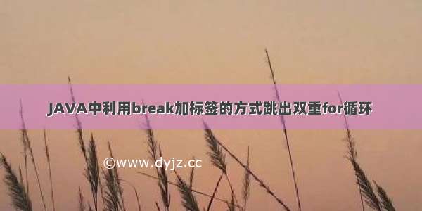 JAVA中利用break加标签的方式跳出双重for循环