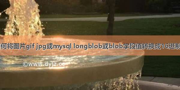 php如何将图片gif jpg或mysql longblob或blob字段值转换成16进制字符串