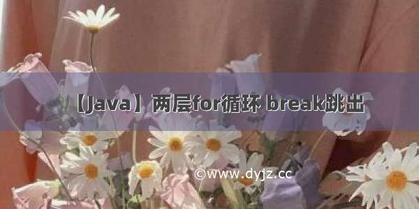 【Java】两层for循环 break跳出