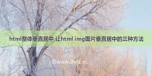 html整体垂直居中 让html img图片垂直居中的三种方法