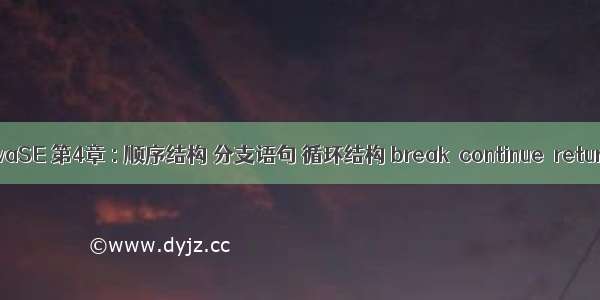 重学JavaSE 第4章 : 顺序结构 分支语句 循环结构 break  continue  return区别