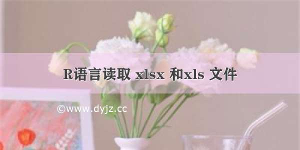 R语言读取 xlsx 和xls 文件