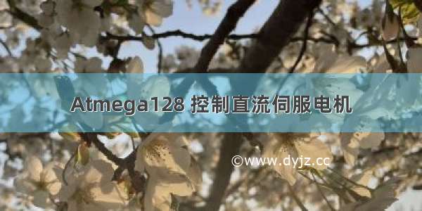 Atmega128 控制直流伺服电机