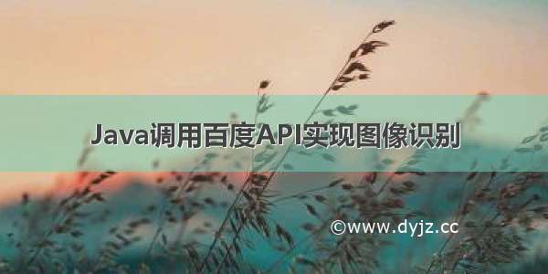 Java调用百度API实现图像识别