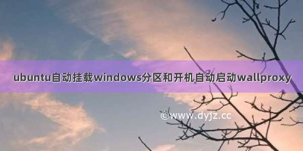 ubuntu自动挂载windows分区和开机自动启动wallproxy