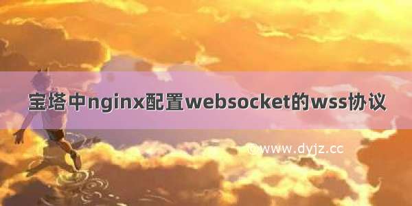 宝塔中nginx配置websocket的wss协议