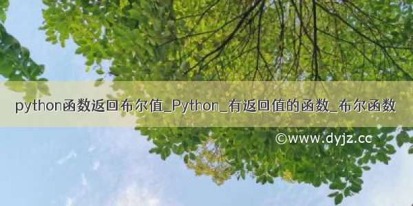 python函数返回布尔值_Python_有返回值的函数_布尔函数