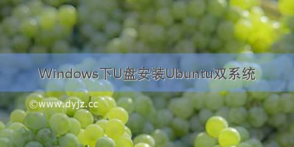 Windows下U盘安装Ubuntu双系统