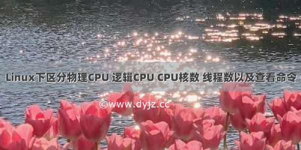 Linux下区分物理CPU 逻辑CPU CPU核数 线程数以及查看命令