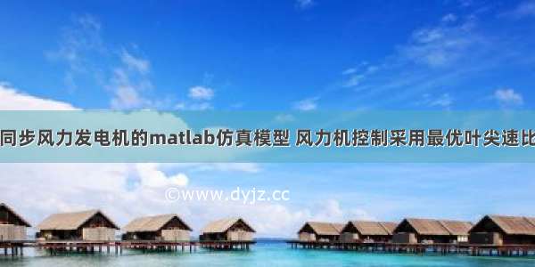 永磁同步风力发电机的matlab仿真模型 风力机控制采用最优叶尖速比控制