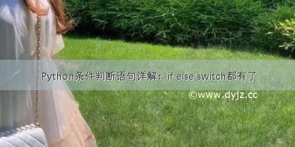 Python条件判断语句详解：if else switch都有了