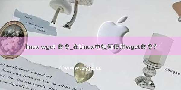 linux wget 命令_在Linux中如何使用wget命令？