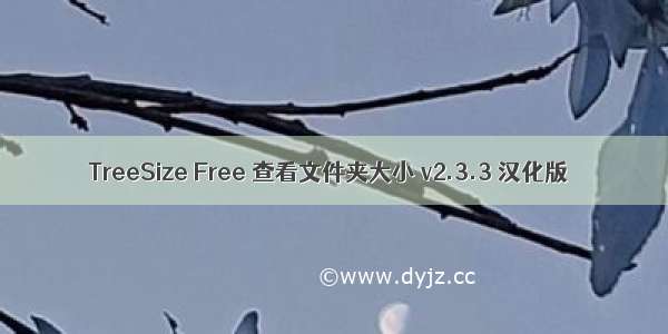 TreeSize Free 查看文件夹大小 v2.3.3 汉化版