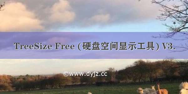 TreeSize Free (硬盘空间显示工具) V3.