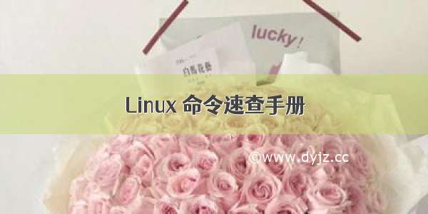 Linux 命令速查手册