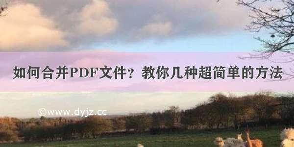 如何合并PDF文件？教你几种超简单的方法