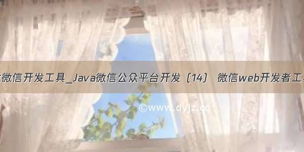 java做微信开发工具_Java微信公众平台开发（14） 微信web开发者工具使用