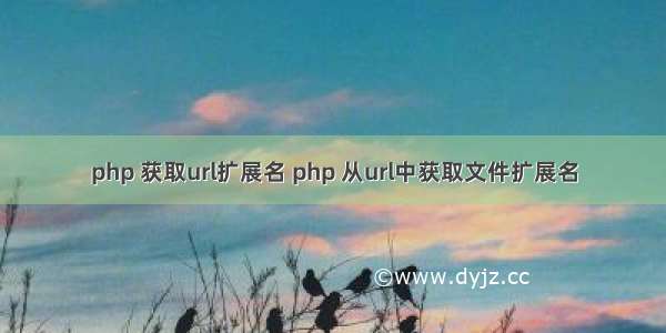 php 获取url扩展名 php 从url中获取文件扩展名