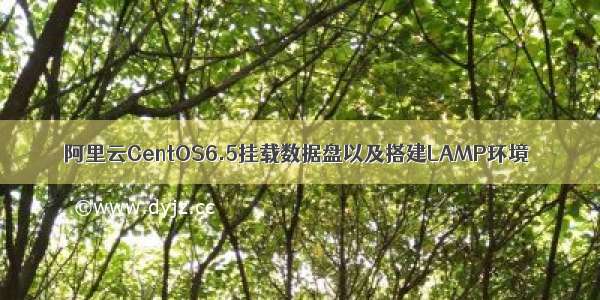 阿里云CentOS6.5挂载数据盘以及搭建LAMP环境