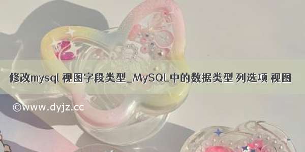 修改mysql 视图字段类型_MySQL中的数据类型 列选项 视图