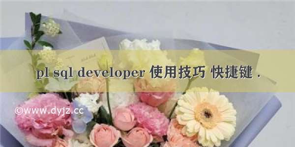 pl sql developer 使用技巧 快捷键 .